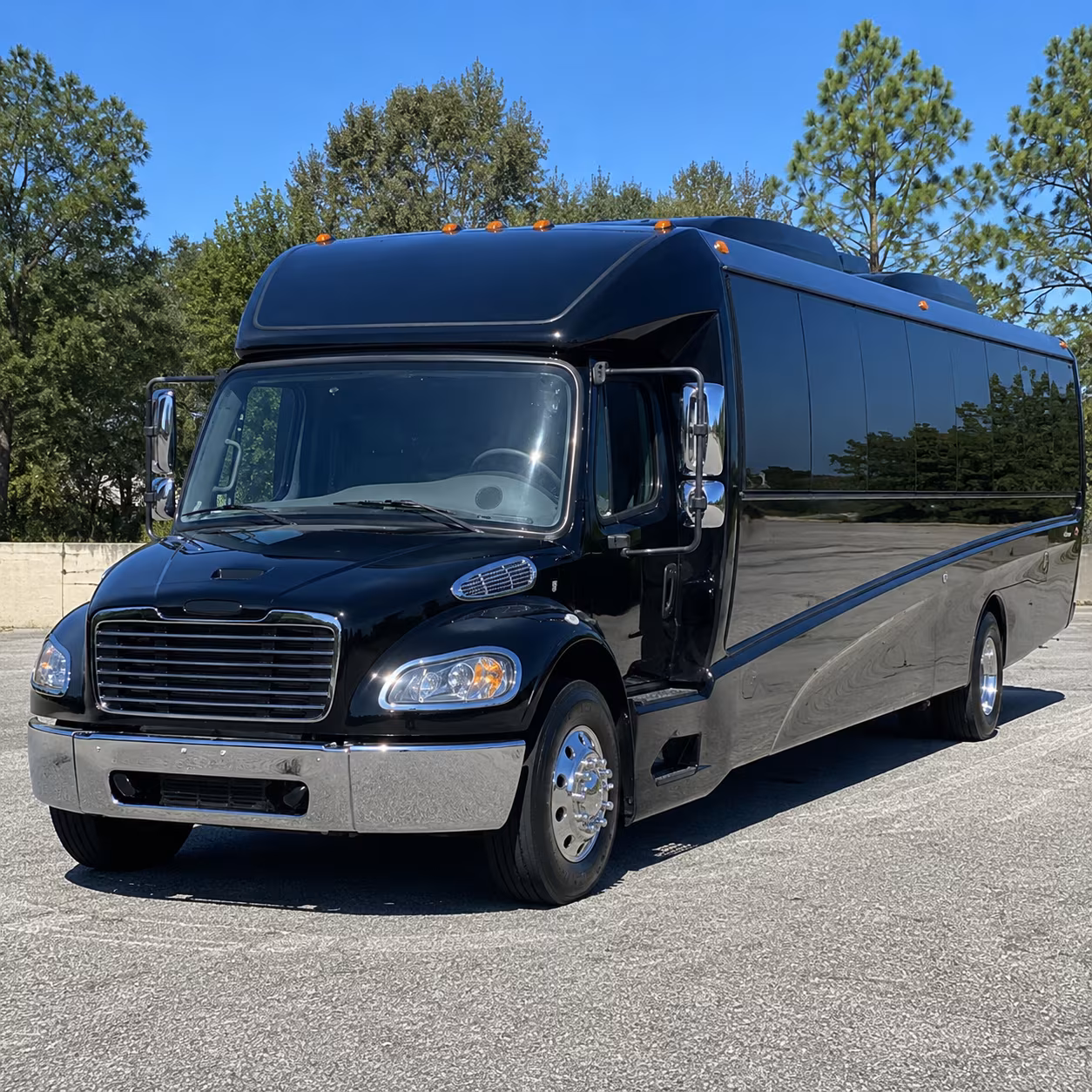 roseville 18 passenger minibus