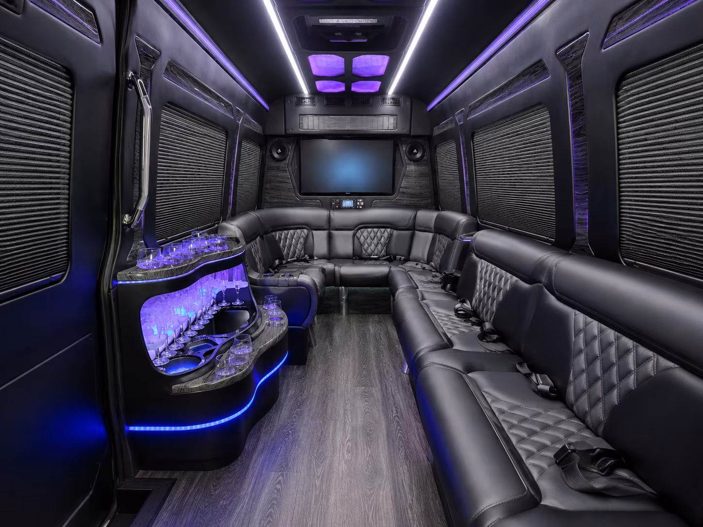 roseville 28 passenger party bus