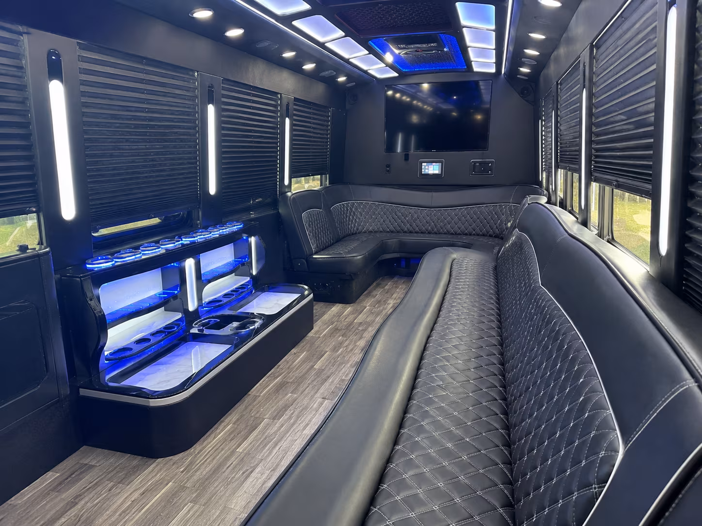 roseville night out party bus rental